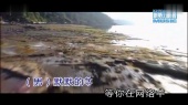 我是否也在你心中(KTV版)