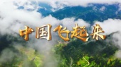 中国飞起来