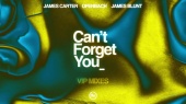 Can’t Forget You(feat. James Blunt)(Visualiser|James Carter VIP Remix)