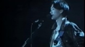 喜欢你(1989真的见证演唱会现场)