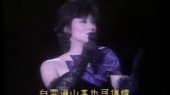 万水千山总是情 1983年白金巨星演唱盛会 现场版