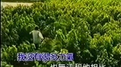 为什么想念你(伴奏版)